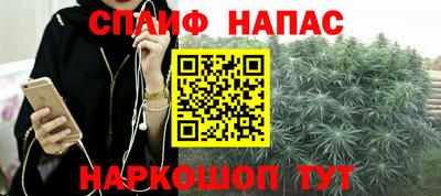 тгк Новозыбков