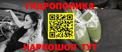 тгк Новозыбков