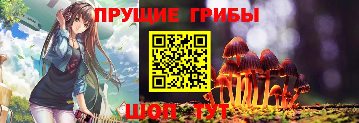 Псилоцибиновые грибы Magic Shrooms  Вход с VPN  Галлюциногенные грибы ЛСД  купить закладку  Тамбов 