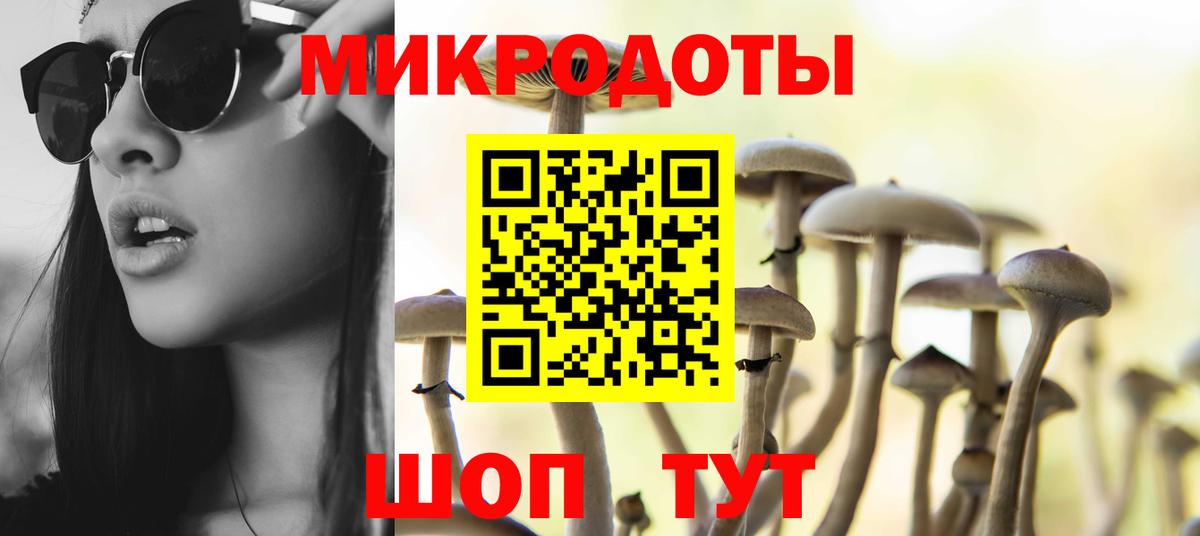 Галлюциногенные грибы Psilocybine cubensis Тамбов